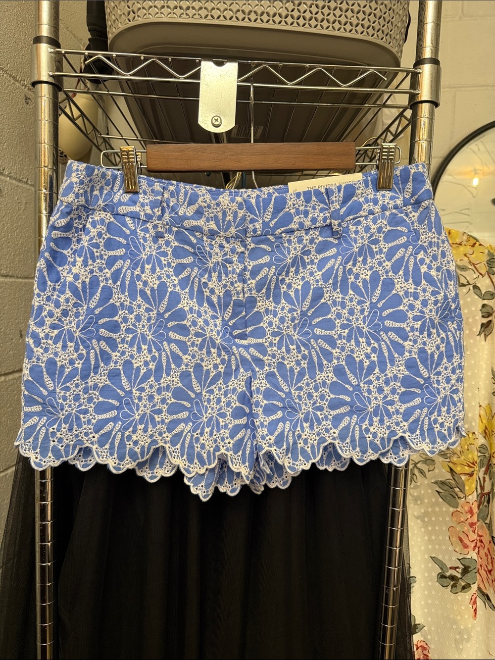 LOFT Blue Eyelet Riviera Shorts